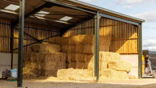 Equestrian Barns and Buildings