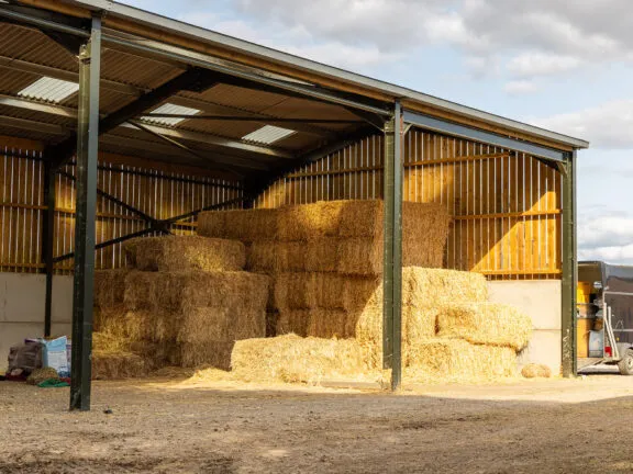 Equestrian Barns and Buildings