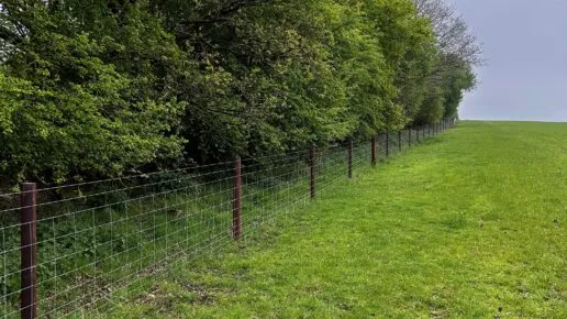 Stock fencing running along the boundary between a field and a wooded area