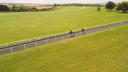 Two racehorses on the gallops at the Jockey Club in Lambourn