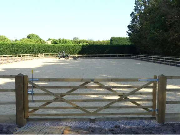 Harlow White's Arena