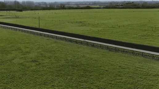 An aerial shot of a line of Horse Net and Post and Rail fencing between a horse paddock and a driveway