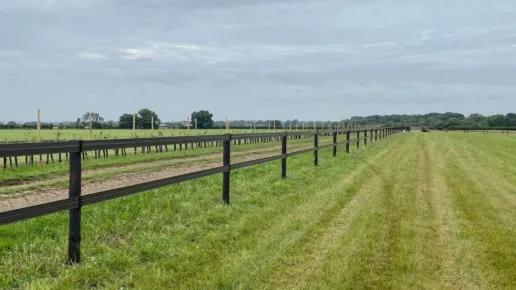 A line of Horserail Fencing running between a grass paddock and a track.